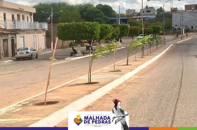 A Prefeitura de Malhada de Pedras está plantando a cidade do futuro!