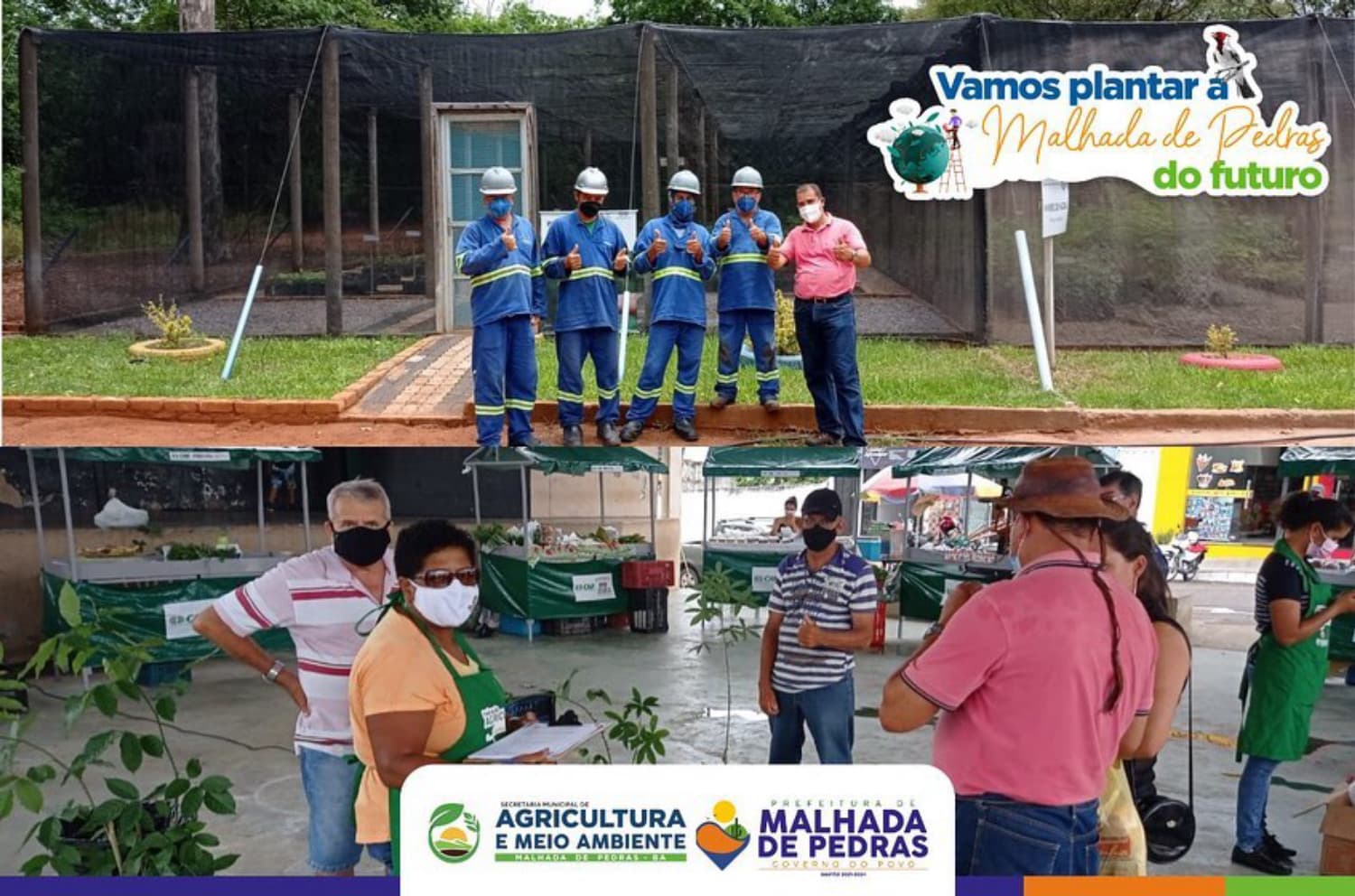 Plantando o futuro!
